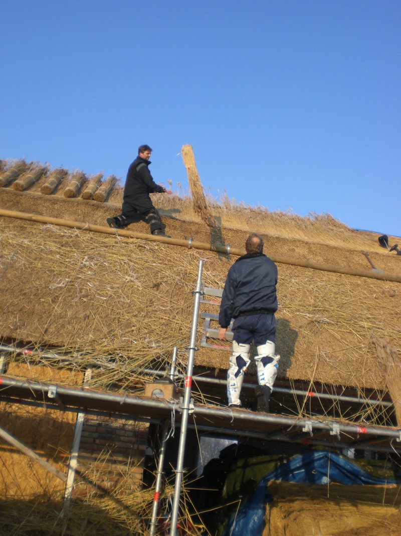 Rietdekken nieuwe schuur Den Velde