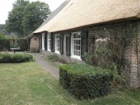 afbeelding van Gedeelte nieuw rieten dak Meppen