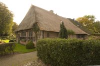 afbeelding van Gedeelte nieuw rieten dak Meppen