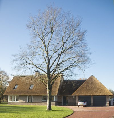 afbeelding van 