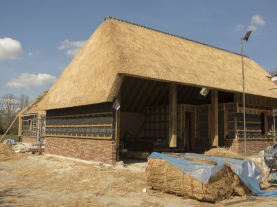 afbeelding van Nieuw rieten dak en vlechtwerk in Gees

Omschrijving werkzaamheden:
In Gees (gemeente Coevorden) hebben wij een nieuwe woonboerderij voorzien van een rieten dak afgewerkt met nokvorsten. Ook hebben we de schaapskooi voorzien van vlechtwerk.

Locatie: Gees
Provincie: Drenthe
Gemeente: Coevorden