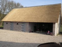 afbeelding van 