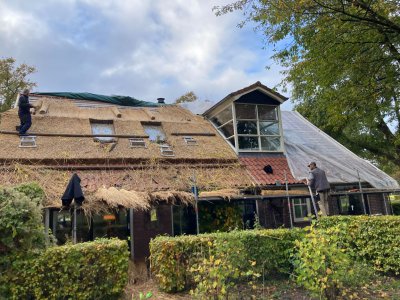 afbeelding van 