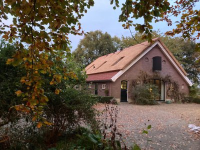 afbeelding van 